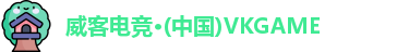 威客电竞官方网址